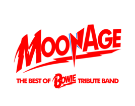 moonagebowietribute.co.uk
